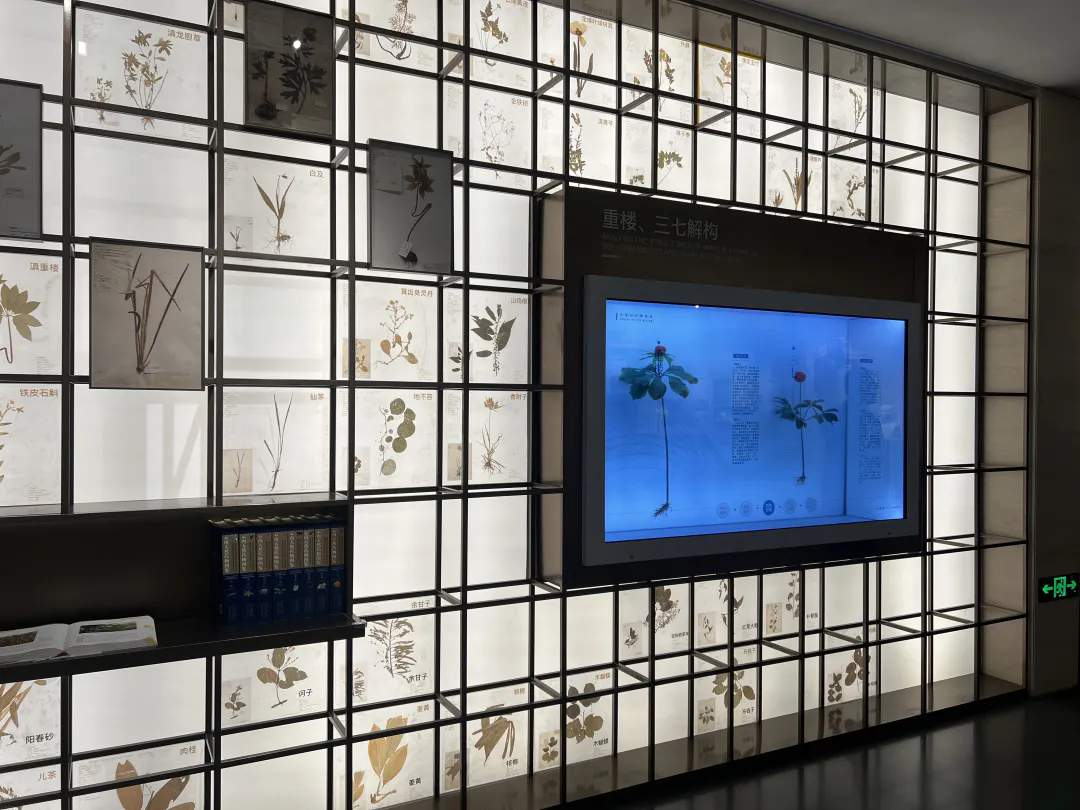 1761037176.png 0cf4cf93d495133739010e2e52cfec5f-sz_2818824.webp.png